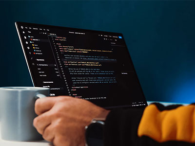 番茄影视小抄：看概率是不是说死了→做写清主语→读前先打问号