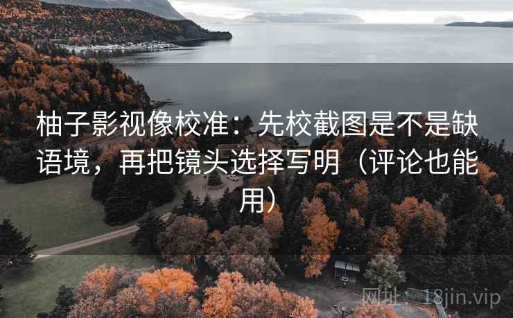柚子影视像校准：先校截图是不是缺语境，再把镜头选择写明（评论也能用）  第2张